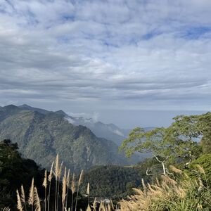 On our way up the mountain