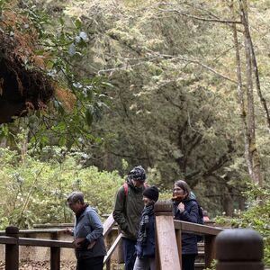 It is simply beautiful here