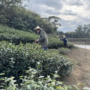 Looking for new growth