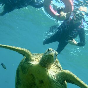 Either "WTF?" or "What YOU looking at?"